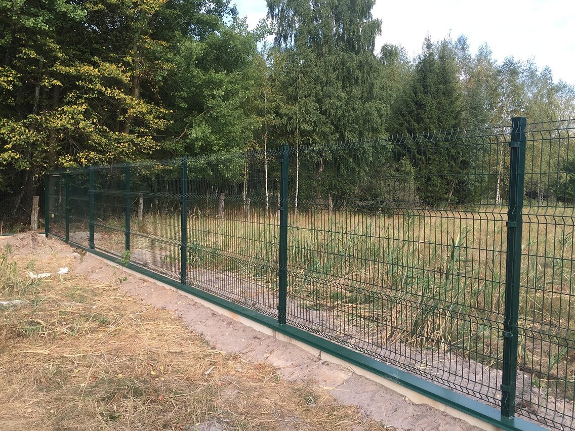 в Сосновом Бору