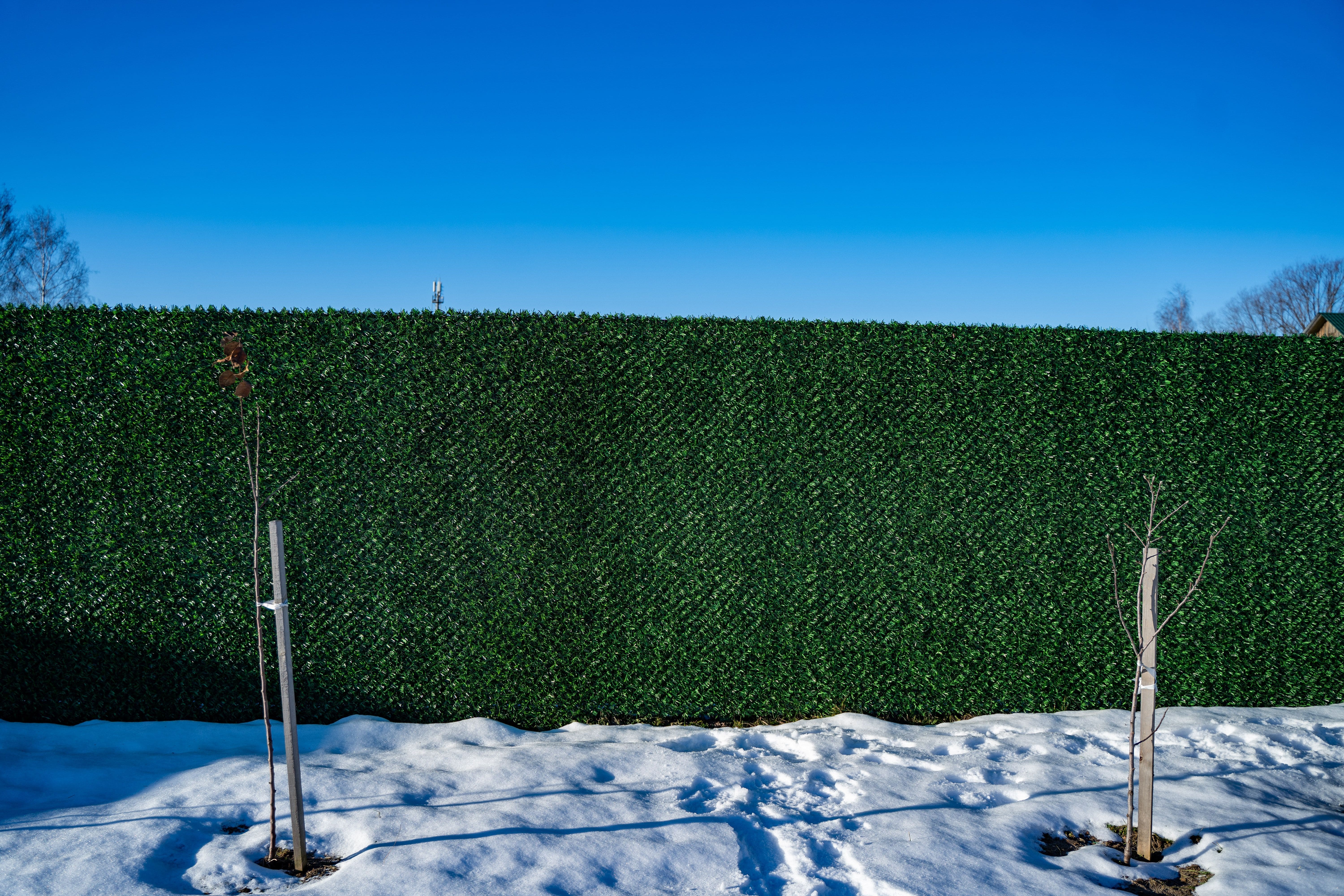 Вечнозеленый забор Grass Fence рулон 2м фото 8 в Сосновом Бору