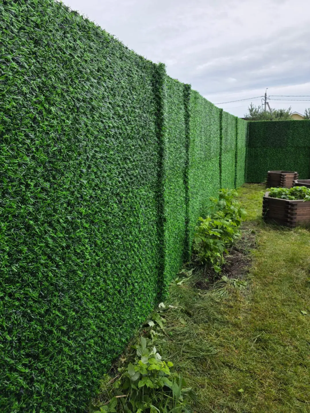 Вечнозеленый забор Grass Fence 37м фото 1 в Сосновом Бору